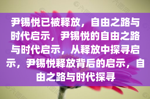 尹锡悦已被释放，自由之路与时代启示，尹锡悦的自由之路与时代启示，从释放中探寻启示，尹锡悦释放背后的启示，自由之路与时代探寻