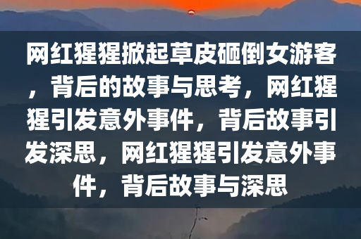 网红猩猩掀起草皮砸倒女游客，背后的故事与思考，网红猩猩引发意外事件，背后故事引发深思，网红猩猩引发意外事件，背后故事与深思