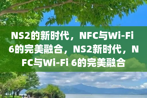 NS2的新时代，NFC与Wi-Fi 6的完美融合，NS2新时代，NFC与Wi-Fi 6的完美融合