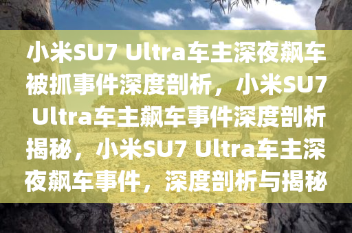 小米SU7 Ultra车主深夜飙车被抓事件深度剖析，小米SU7 Ultra车主飙车事件深度剖析揭秘，小米SU7 Ultra车主深夜飙车事件，深度剖析与揭秘