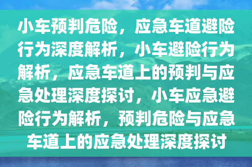 小车预判危险，应急车道避险行为深度解析，小车避险行为解析，应急车道上的预判与应急处理深度探讨，小车应急避险行为解析，预判危险与应急车道上的应急处理深度探讨