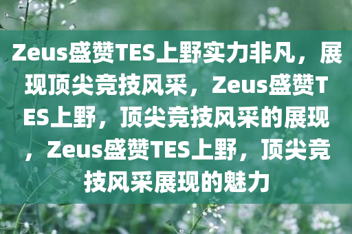 Zeus盛赞TES上野实力非凡，展现顶尖竞技风采，Zeus盛赞TES上野，顶尖竞技风采的展现，Zeus盛赞TES上野，顶尖竞技风采展现的魅力