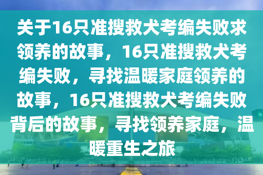 关于16只准搜救犬考编失败求领养的故事，16只准搜救犬考编失败，寻找温暖家庭领养的故事，16只准搜救犬考编失败背后的故事，寻找领养家庭，温暖重生之旅