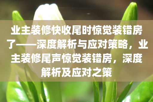 业主装修快收尾时惊觉装错房了——深度解析与应对策略，业主装修尾声惊觉装错房，深度解析及应对之策