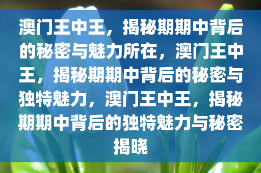 澳门王中王，揭秘期期中背后的秘密与魅力所在，澳门王中王，揭秘期期中背后的秘密与独特魅力，澳门王中王，揭秘期期中背后的独特魅力与秘密揭晓