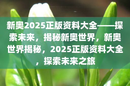 新奥2025正版资料大全——探索未来，揭秘新奥世界，新奥世界揭秘，2025正版资料大全，探索未来之旅