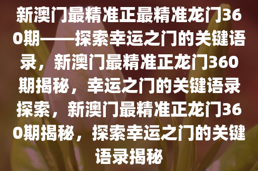 新澳门最精准正最精准龙门360期