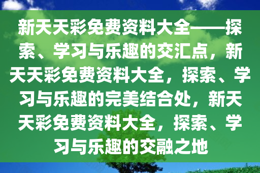 新天天彩免费资料大全——探索、学习与乐趣的交汇点，新天天彩免费资料大全，探索、学习与乐趣的完美结合处，新天天彩免费资料大全，探索、学习与乐趣的交融之地