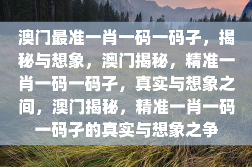 澳门最准一肖一码一码孑，揭秘与想象，澳门揭秘，精准一肖一码一码孑，真实与想象之间，澳门揭秘，精准一肖一码一码孑的真实与想象之争