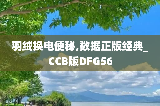 羽绒换电便秘,数据正版经典_CCB版DFG56