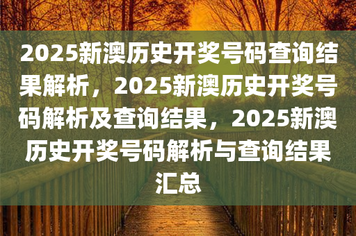 2025新澳历史开奖号码查询结果解析，2025新澳历史开奖号码解析及查询结果，2025新澳历史开奖号码解析与查询结果汇总