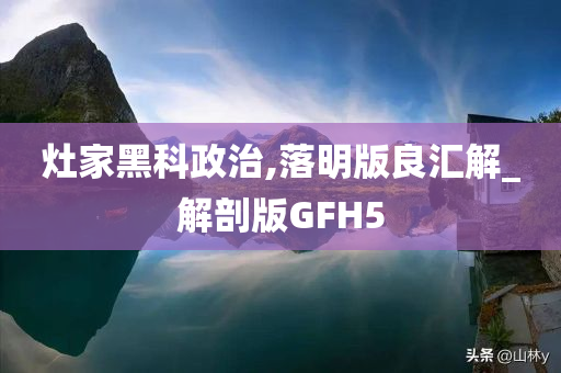 灶家黑科政治,落明版良汇解_解剖版GFH5