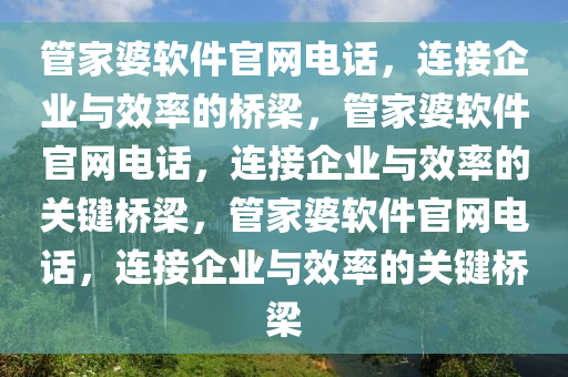 管家婆软件官网电话，连接企业与效率的桥梁，管家婆软件官网电话，连接企业与效率的关键桥梁，管家婆软件官网电话，连接企业与效率的关键桥梁