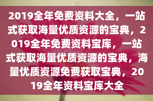 2019全年免费资料大全，一站式获取海量优质资源的宝典，2019全年免费资料宝库，一站式获取海量优质资源的宝典，海量优质资源免费获取宝典，2019全年资料宝库大全