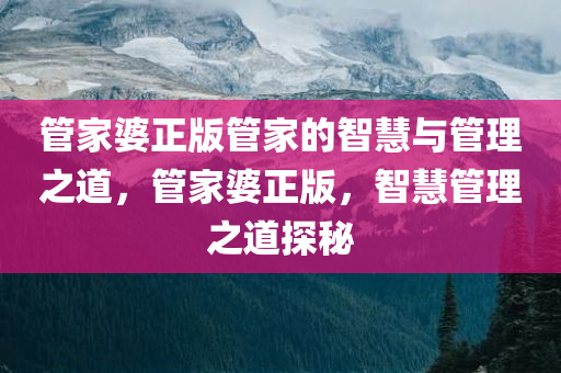 管家婆正版管家的智慧与管理之道，管家婆正版，智慧管理之道探秘