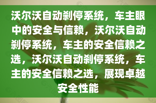 沃尔沃自动刹停系统，车主眼中的安全与信赖，沃尔沃自动刹停系统，车主的安全信赖之选，沃尔沃自动刹停系统，车主的安全信赖之选，展现卓越安全性能