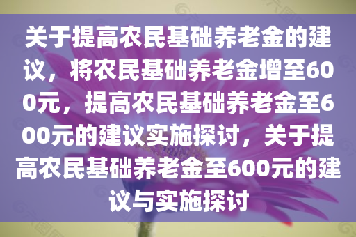 关于提高农民基础养老金的建议，将农民基础养老金增至600元，提高农民基础养老金至600元的建议实施探讨，关于提高农民基础养老金至600元的建议与实施探讨