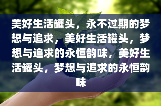 美好生活罐头，永不过期的梦想与追求，美好生活罐头，梦想与追求的永恒韵味，美好生活罐头，梦想与追求的永恒韵味