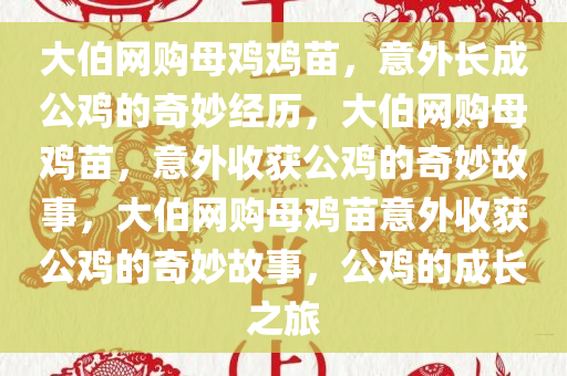 大伯网购母鸡鸡苗长大成公鸡