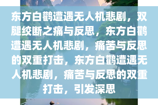 东方白鹳遭遇无人机悲剧，双腿绞断之痛与反思，东方白鹳遭遇无人机悲剧，痛苦与反思的双重打击，东方白鹳遭遇无人机悲剧，痛苦与反思的双重打击，引发深思