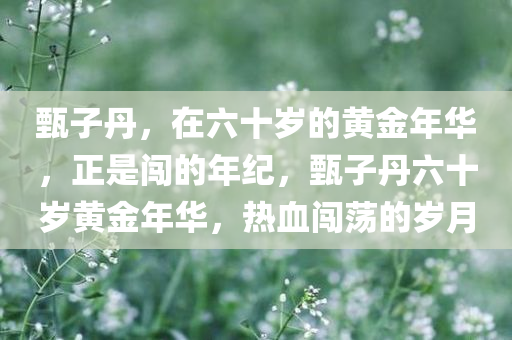 甄子丹，在六十岁的黄金年华，正是闯的年纪，甄子丹六十岁黄金年华，热血闯荡的岁月