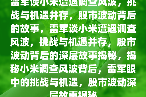 雷军谈小米遭遇调查风波，挑战与机遇并存，股市波动背后的故事，雷军谈小米遭遇调查风波，挑战与机遇并存，股市波动背后的深层故事揭秘，揭秘小米调查风波背后，雷军眼中的挑战与机遇，股市波动深层故事揭秘