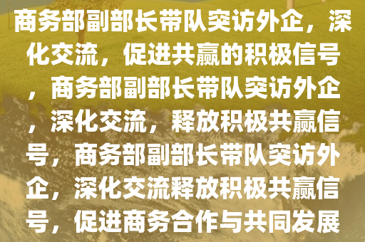 商务部副部长带队突访外企，深化交流，促进共赢的积极信号，商务部副部长带队突访外企，深化交流，释放积极共赢信号，商务部副部长带队突访外企，深化交流释放积极共赢信号，促进商务合作与共同发展