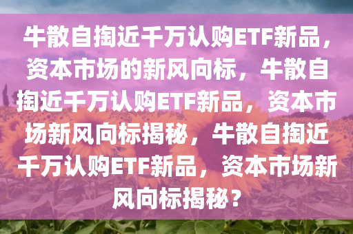 牛散自掏近千万认购ETF新品，资本市场的新风向标，牛散自掏近千万认购ETF新品，资本市场新风向标揭秘，牛散自掏近千万认购ETF新品，资本市场新风向标揭秘？