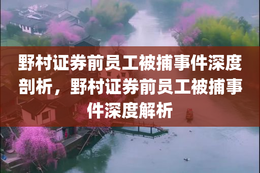 野村证券前员工被捕事件深度剖析，野村证券前员工被捕事件深度解析