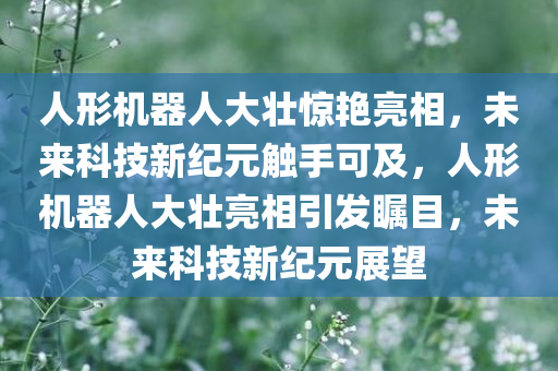 人形机器人大壮惊艳亮相，未来科技新纪元触手可及，人形机器人大壮亮相引发瞩目，未来科技新纪元展望