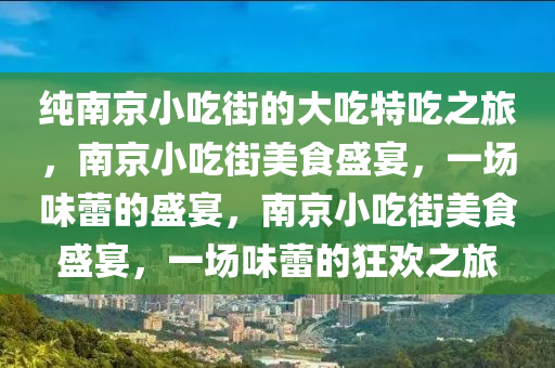 纯南京小吃街的大吃特吃之旅，南京小吃街美食盛宴，一场味蕾的盛宴，南京小吃街美食盛宴，一场味蕾的狂欢之旅