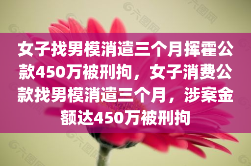 女子找男模消遣三个月挥霍公款450万被刑拘，女子消费公款找男模消遣三个月，涉案金额达450万被刑拘