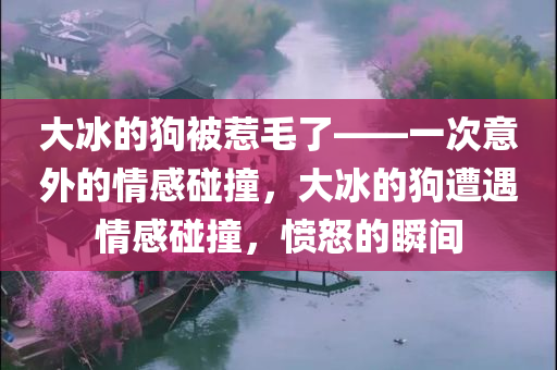 大冰的狗被惹毛了——一次意外的情感碰撞，大冰的狗遭遇情感碰撞，愤怒的瞬间