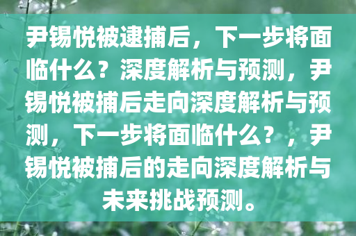 尹锡悦被逮捕后，下一步将面临什么？深度解析与预测，尹锡悦被捕后走向深度解析与预测，下一步将面临什么？，尹锡悦被捕后的走向深度解析与未来挑战预测。