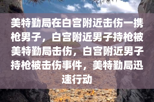 美特勤局在白宫附近击伤一携枪男子，白宫附近男子持枪被美特勤局击伤，白宫附近男子持枪被击伤事件，美特勤局迅速行动