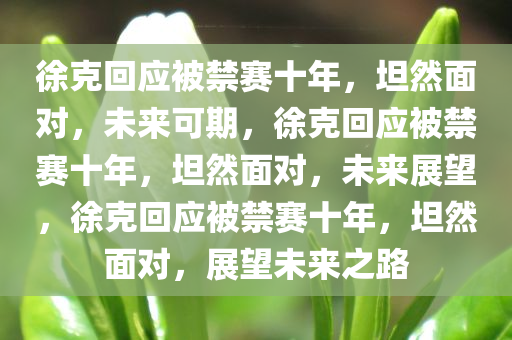 徐克回应被禁赛十年，坦然面对，未来可期，徐克回应被禁赛十年，坦然面对，未来展望，徐克回应被禁赛十年，坦然面对，展望未来之路