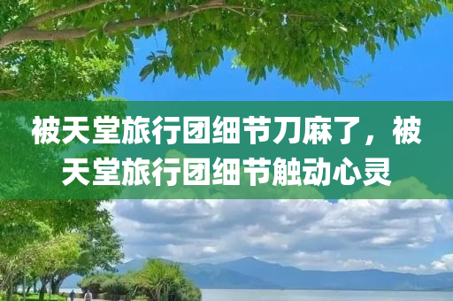 被天堂旅行团细节刀麻了，被天堂旅行团细节触动心灵