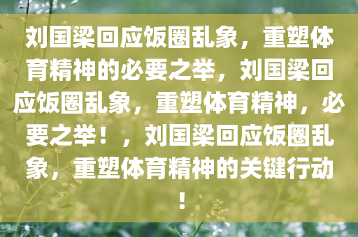 刘国梁回应饭圈乱象，重塑体育精神的必要之举，刘国梁回应饭圈乱象，重塑体育精神，必要之举！，刘国梁回应饭圈乱象，重塑体育精神的关键行动！