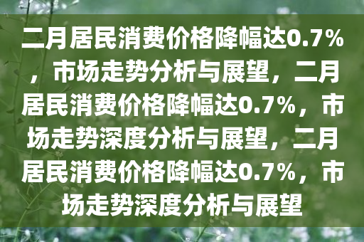 二月居民消费价格降幅达0.7%，市场走势分析与展望，二月居民消费价格降幅达0.7%，市场走势深度分析与展望，二月居民消费价格降幅达0.7%，市场走势深度分析与展望