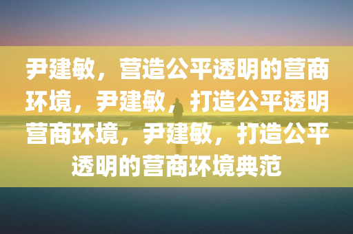 尹建敏，营造公平透明的营商环境，尹建敏，打造公平透明营商环境，尹建敏，打造公平透明的营商环境典范