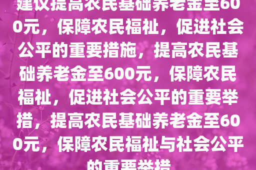 建议提高农民基础养老金至600元，保障农民福祉，促进社会公平的重要措施，提高农民基础养老金至600元，保障农民福祉，促进社会公平的重要举措，提高农民基础养老金至600元，保障农民福祉与社会公平的重要举措