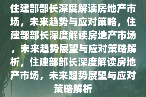 住建部部长深度解读房地产市场，未来趋势与应对策略，住建部部长深度解读房地产市场，未来趋势展望与应对策略解析，住建部部长深度解读房地产市场，未来趋势展望与应对策略解析