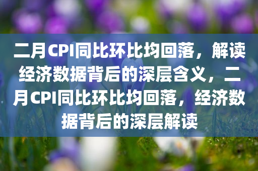 二月CPI同比环比均回落，解读经济数据背后的深层含义，二月CPI同比环比均回落，经济数据背后的深层解读