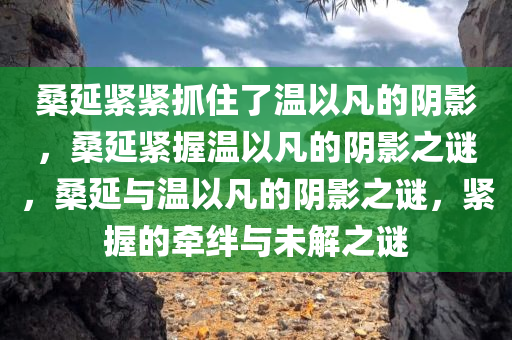 桑延紧紧抓住了温以凡的阴影，桑延紧握温以凡的阴影之谜，桑延与温以凡的阴影之谜，紧握的牵绊与未解之谜