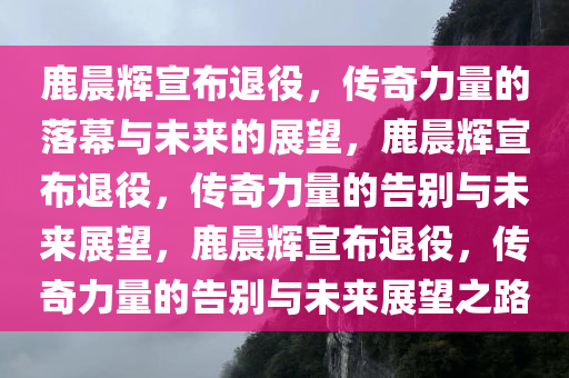 鹿晨辉宣布退役，传奇力量的落幕与未来的展望，鹿晨辉宣布退役，传奇力量的告别与未来展望，鹿晨辉宣布退役，传奇力量的告别与未来展望之路