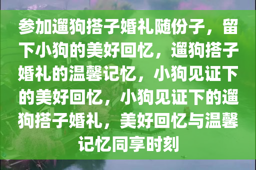 参加遛狗搭子婚礼随份子，留下小狗的美好回忆，遛狗搭子婚礼的温馨记忆，小狗见证下的美好回忆，小狗见证下的遛狗搭子婚礼，美好回忆与温馨记忆同享时刻