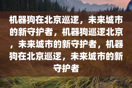 机器狗在北京巡逻，未来城市的新守护者，机器狗巡逻北京，未来城市的新守护者，机器狗在北京巡逻，未来城市的新守护者