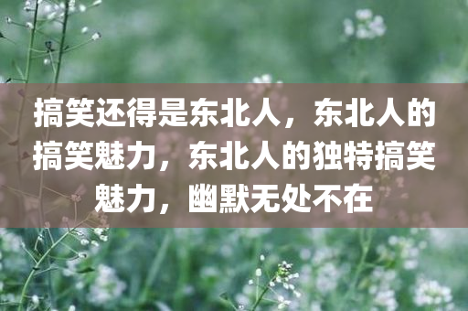 搞笑还得是东北人，东北人的搞笑魅力，东北人的独特搞笑魅力，幽默无处不在