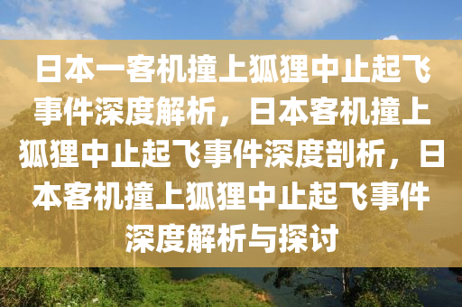 日本一客机撞上狐狸中止起飞事件深度解析，日本客机撞上狐狸中止起飞事件深度剖析，日本客机撞上狐狸中止起飞事件深度解析与探讨