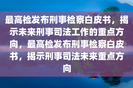 最高检发布刑事检察白皮书，揭示未来刑事司法工作的重点方向，最高检发布刑事检察白皮书，揭示刑事司法未来重点方向